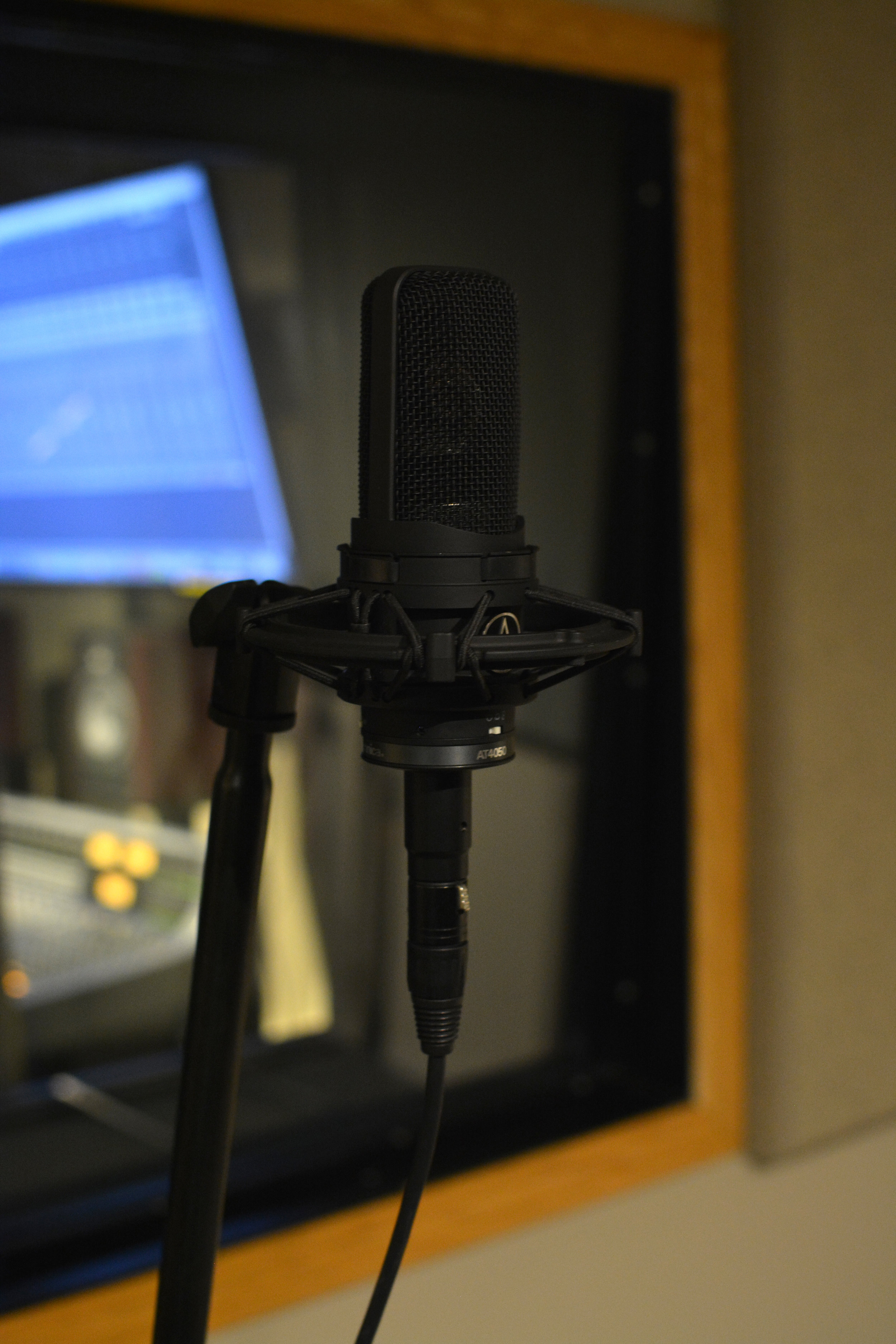 Audio Technica AT4050 Review